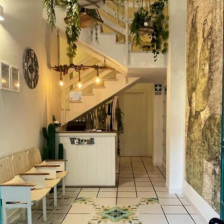 Thalia Guest House 马尔扎梅米 外观 照片